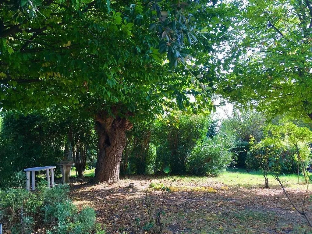 Bed & Breakfast B&B Locanda Pina - Room 2 Montemarciano